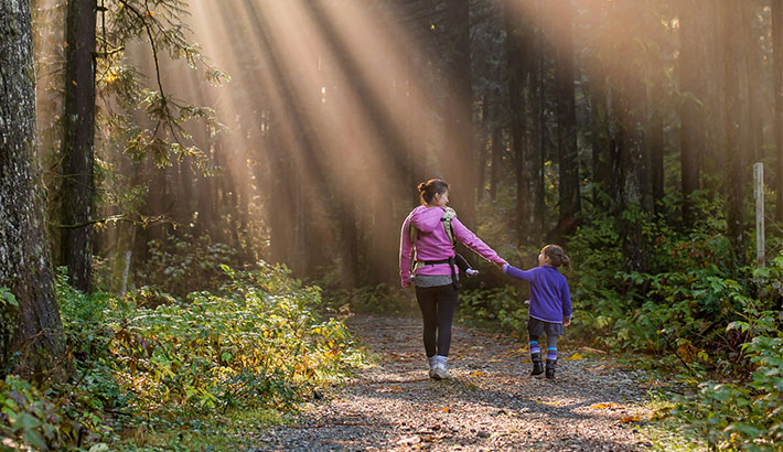 A Parent Walking with their Kid in the Woods